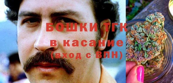 ПСИЛОЦИБИНОВЫЕ ГРИБЫ Аркадак